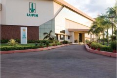 印度鲁宾制药 Lupin Ltd