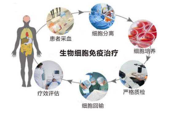 免疫治疗之---癌症免疫治疗是应用免疫学原理和方法