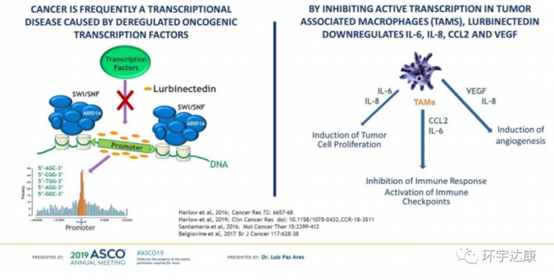 小细胞肺癌化疗药新药Lurbinectin(鲁比卡丁、Zepsyre)获FDA优先审批,上市在即