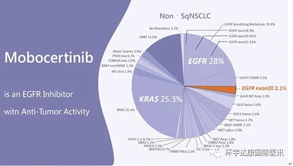 肺癌EGFR抑制剂,肺癌EGFR 20ins变第二款靶向药Mobocertinib(中文名莫博替尼、TAK-788、Ex