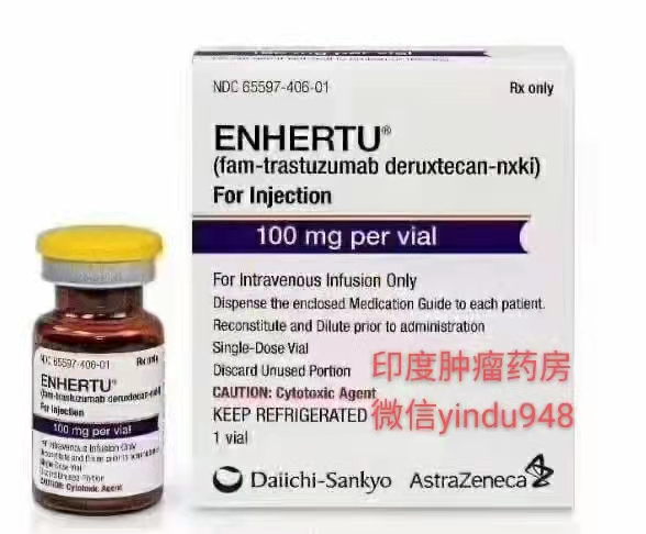 Enhertu（DS-8201）Fam-trastuzumab/deruxtecan-nxki