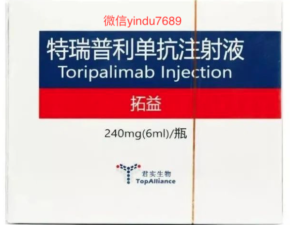 特瑞普利单抗 Toripalimab 拓益说明书