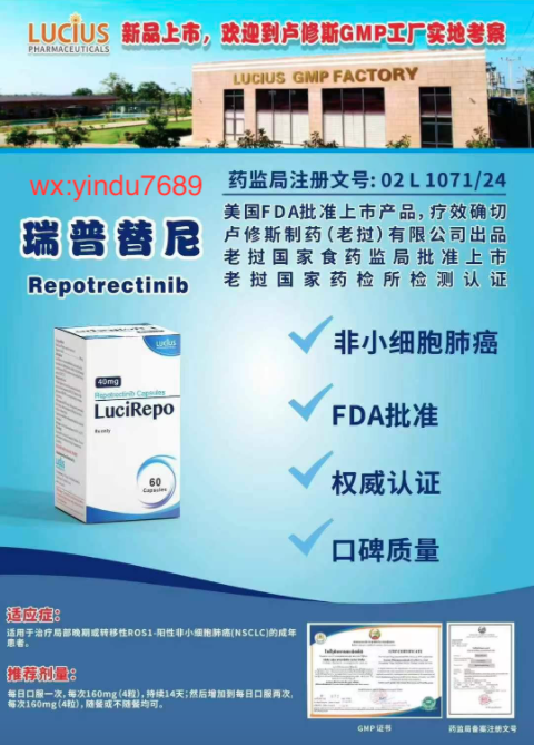 瑞派替尼:胃肠道间质瘤四线治疗的突破性药物